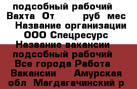 подсобный рабочий . Вахта. От 30 000 руб./мес. › Название организации ­ ООО Спецресурс › Название вакансии ­ подсобный рабочий - Все города Работа » Вакансии   . Амурская обл.,Магдагачинский р-н